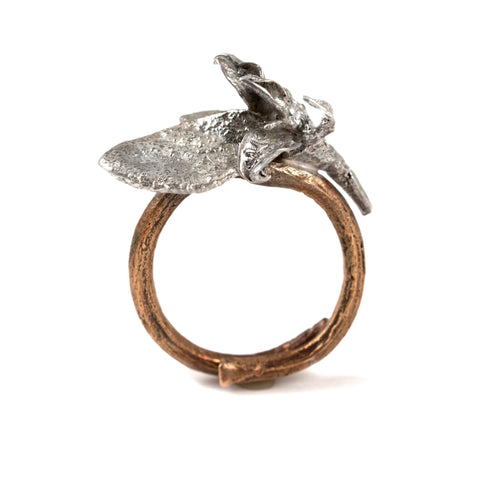 Natural Object Casting